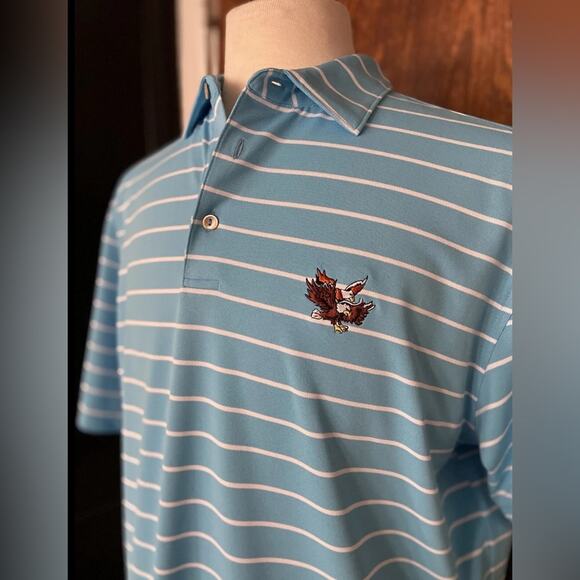PETER MILLAR Striped Blue Dbl Eagle Club Golf Polo Mens sz L - Picture 1 of 9